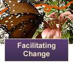 FacilitateChange_button FacilitateChange_button