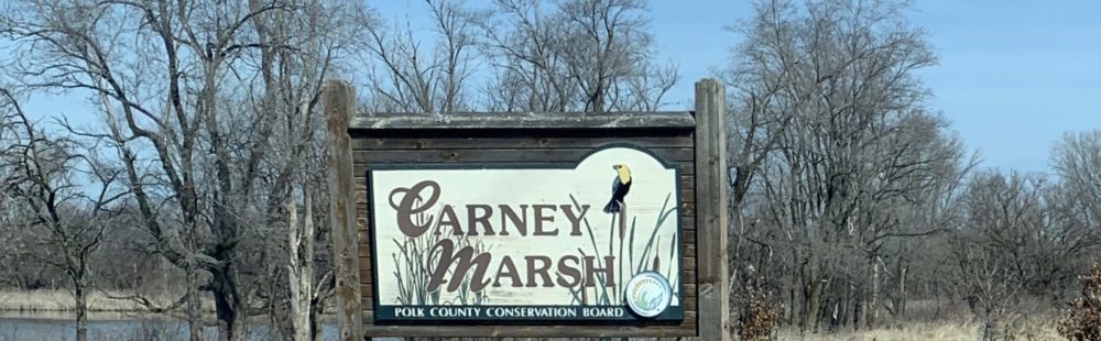 Carney Marsh