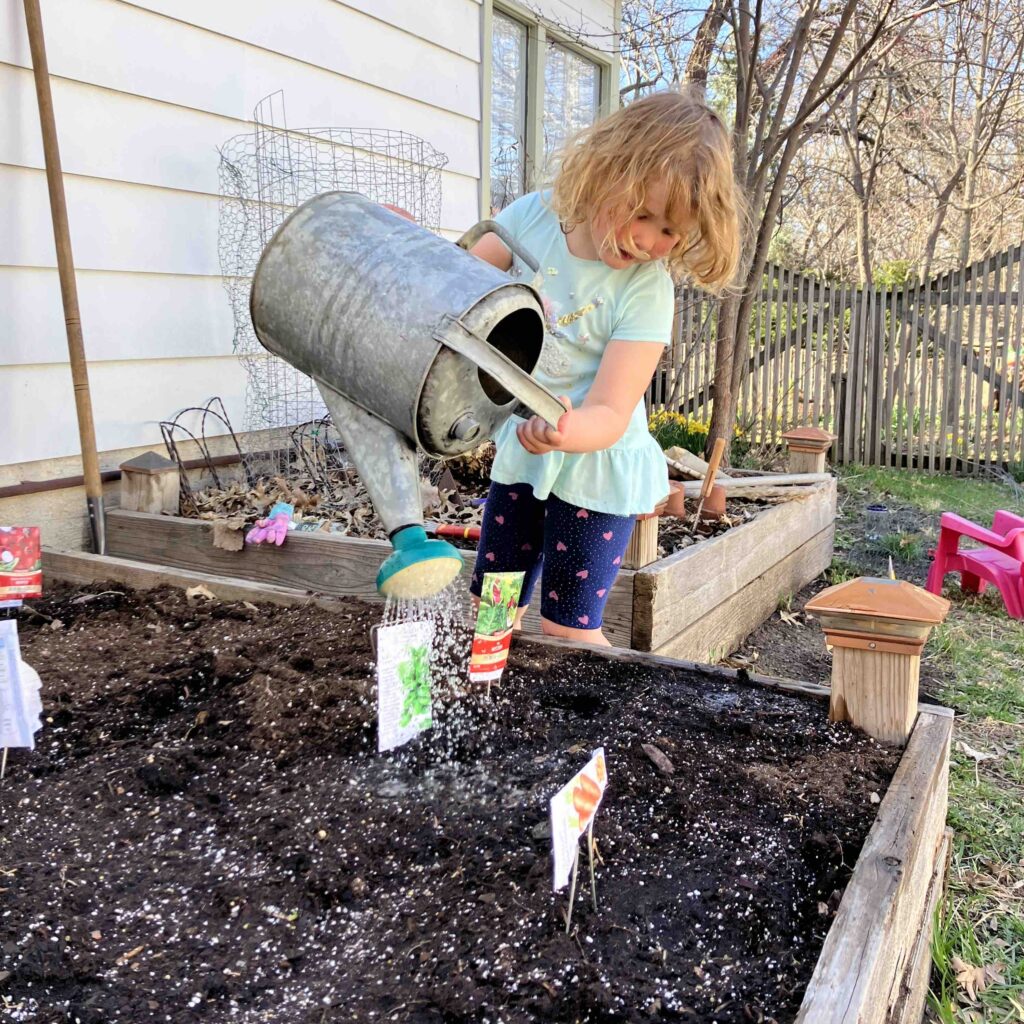 Planting early veggies in our raised beds