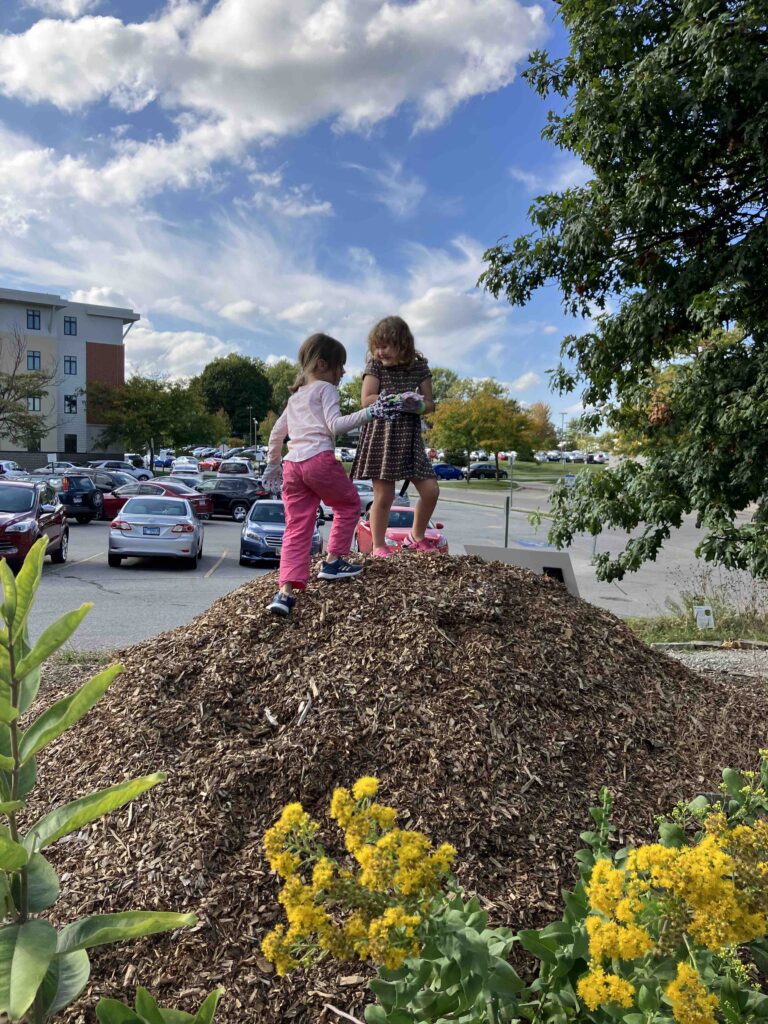 June and Hazel on the mulch pile at Sprouts Garden, Drake University