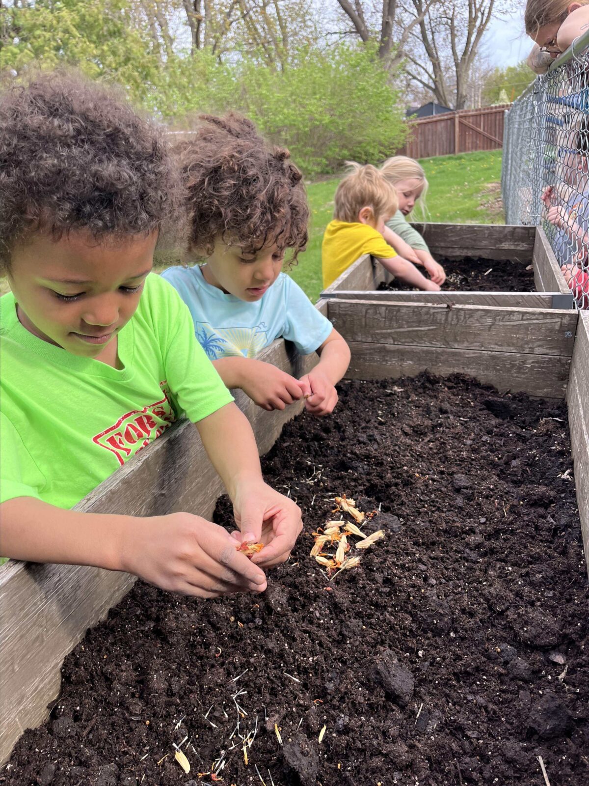 Students plant seeds at Iowa Kids Garden Day