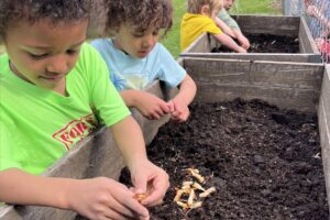 Students plant seeds at Iowa Kids Garden Day